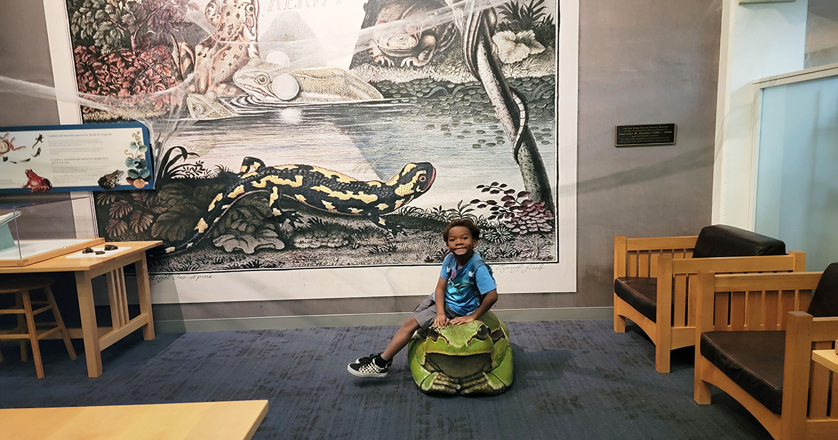 Gallery collage photo